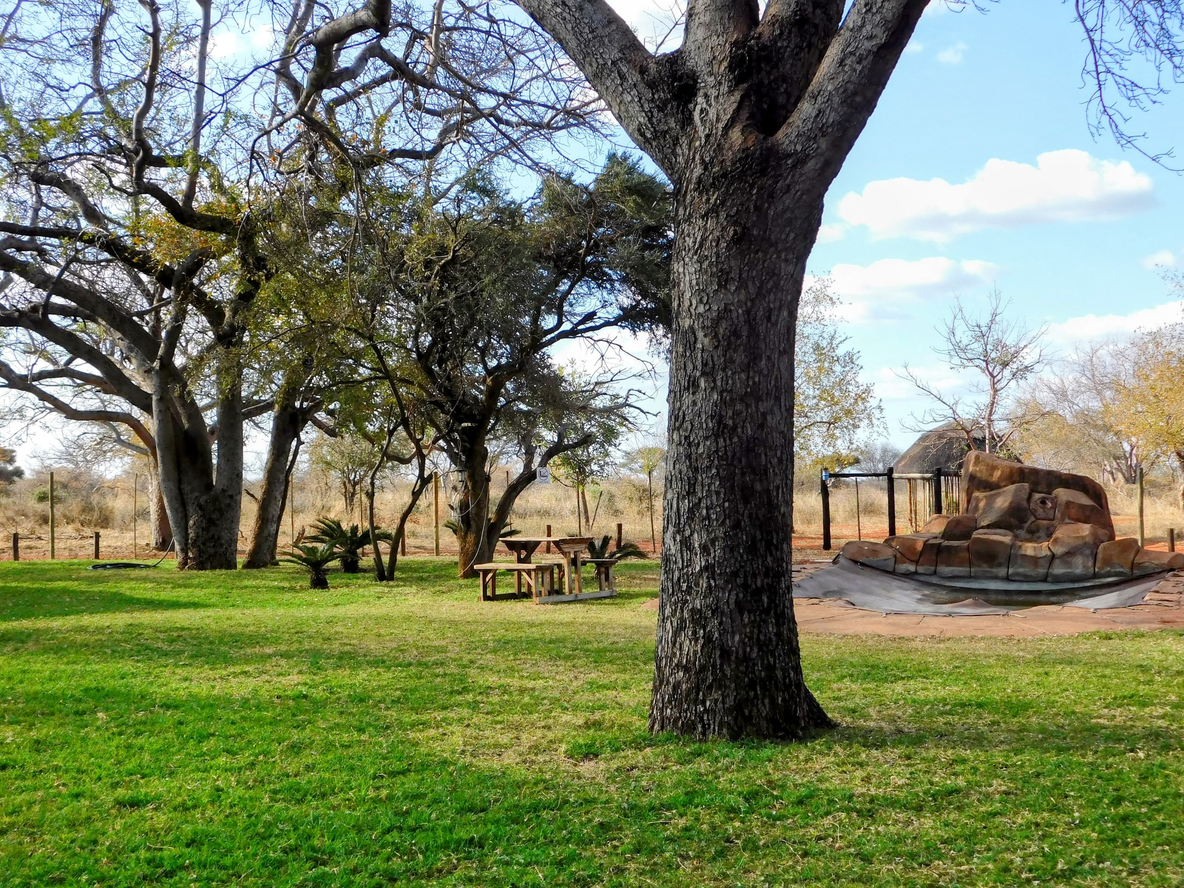 Witgat Safaris gallery image 3